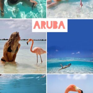 Aruba filtro professionale lightroom